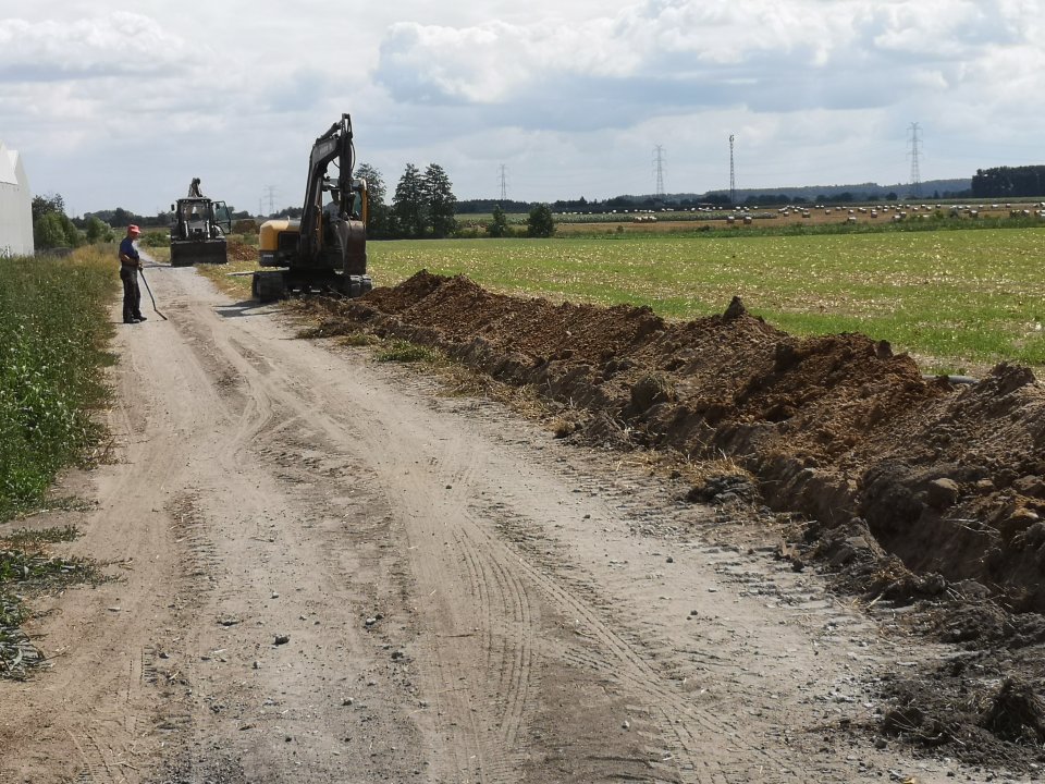 - img_20210802_110318.jpg - img_20210802_110318.jpg